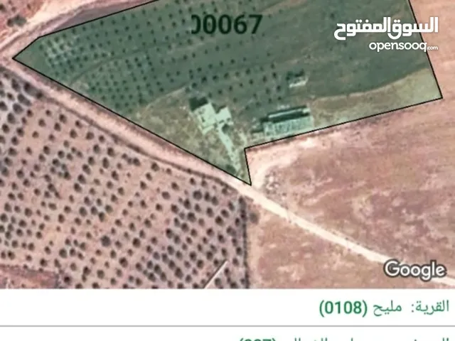 3 Bedrooms Farms for Sale in Madaba Other