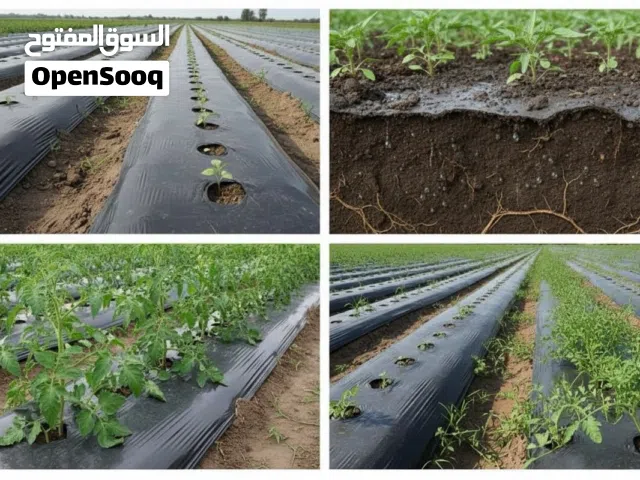 ملش زراعي اسود من شركة قطاف