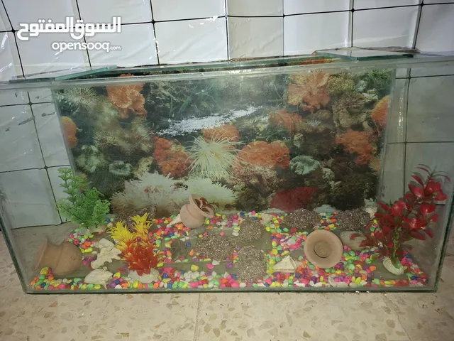 حوض سمك مستعمل معا كامل الزينة