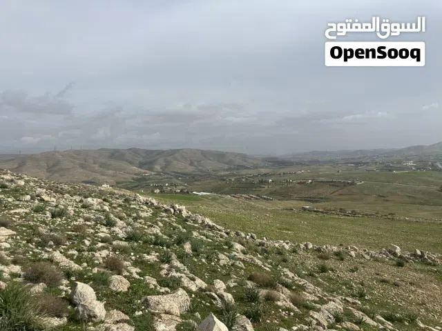 Mixed Use Land for Sale in Zarqa Sarout