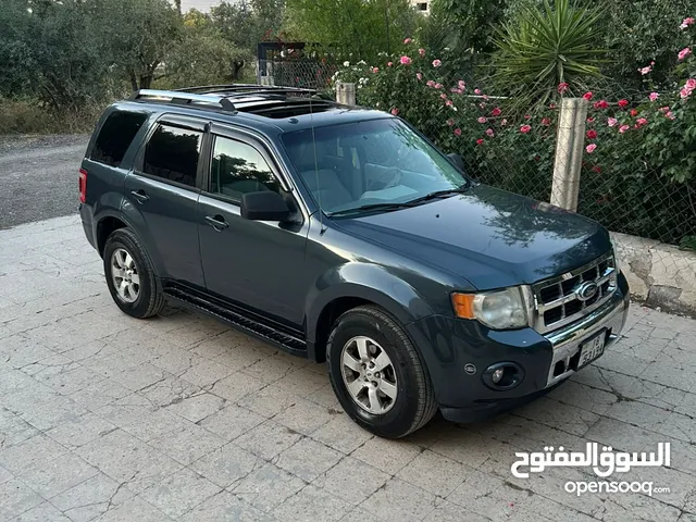 فورد سكيب 2010 فل الفل لمتد اعلى صنف