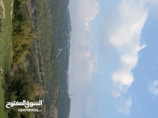 Mixed Use Land for Sale in Ajloun Other
