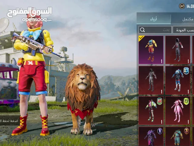 Pubg Accounts and Characters for Sale in Babylon