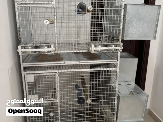 قفص دورين لانتاج الكواسكو