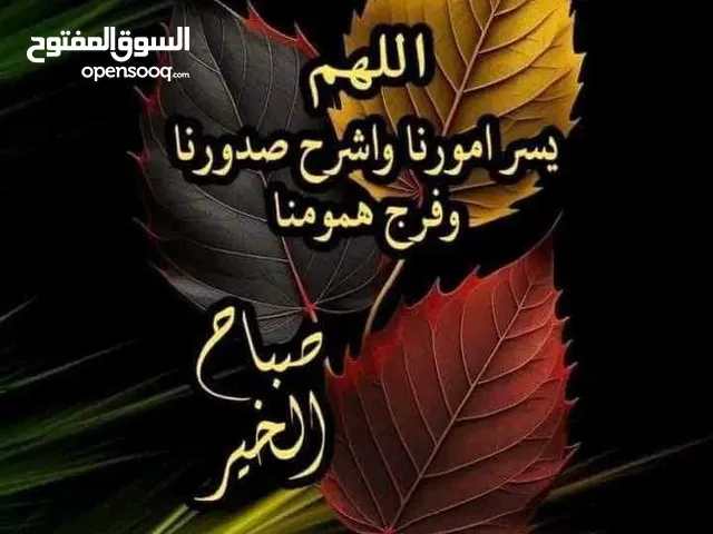 مطلوب ممول