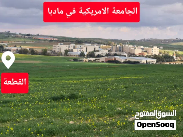 مادبا الواحه 7252متر ب 100 الف كامل القطعة ارض زراعية مميزة بجانب الجامعة الأمريكية  شمال الجامعة