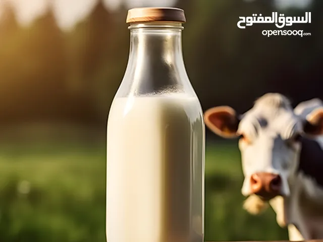 حليب بقر طازج