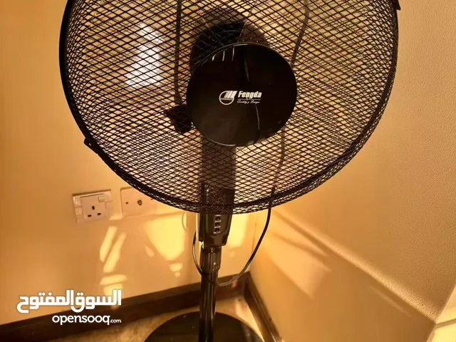 BLACK FAN FOR SALE