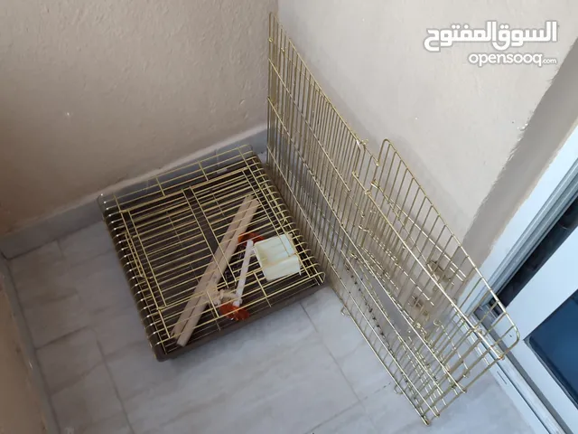 قفص للطيور