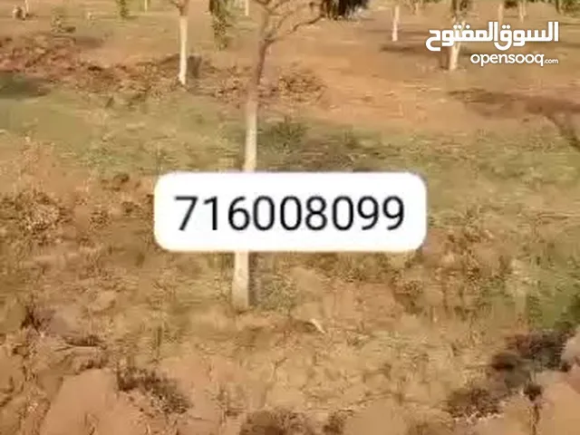 Farm Land for Sale in Al Hudaydah Other