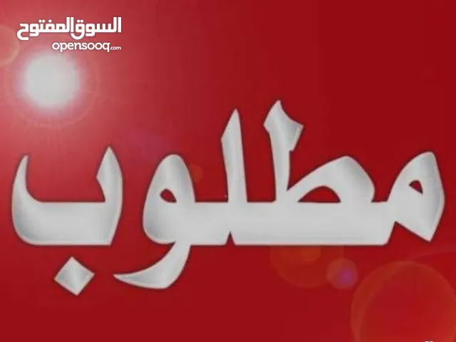 مطلوب جرو بيتبول فلوسي في حدود 700