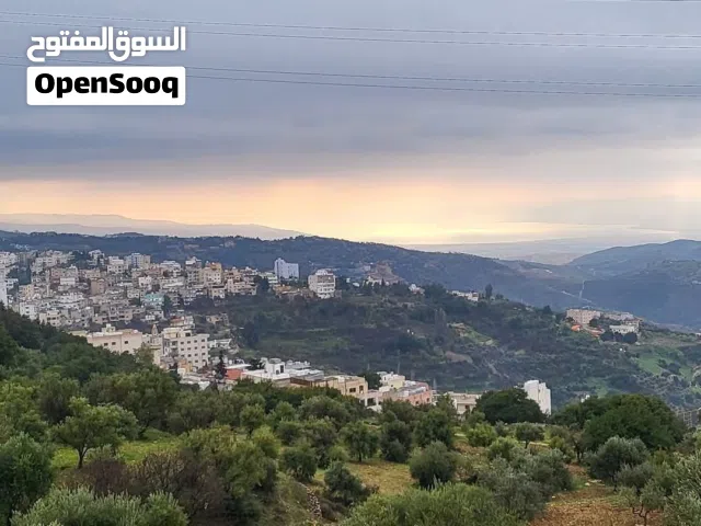 قطعة أرض مساحة 1,560م ماحص الأقرب لغرب عمان تصلح لبناء فيلا أو مزرعة نموجية