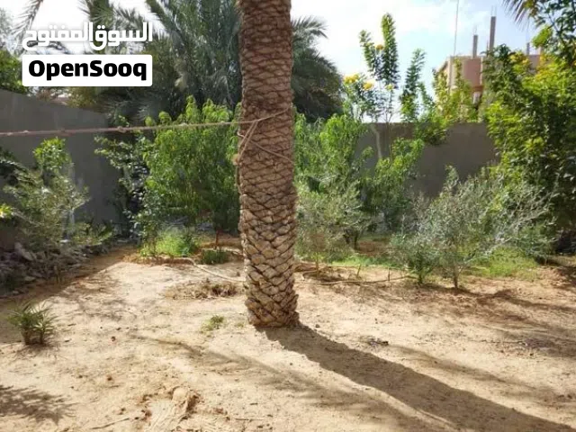 ارض بنص سعر السوق مستعجل فى البيع جزيرة الشريف مابين مقسم النعاجى وجامع فرحات