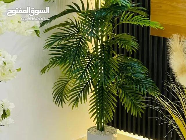 شجرة النخيل الأصطناعية الفاخرة – لمسة فخامة تدوم للأبد تأتيك مزروعة في قوار بورسلان أبيض فاخر مع حصى