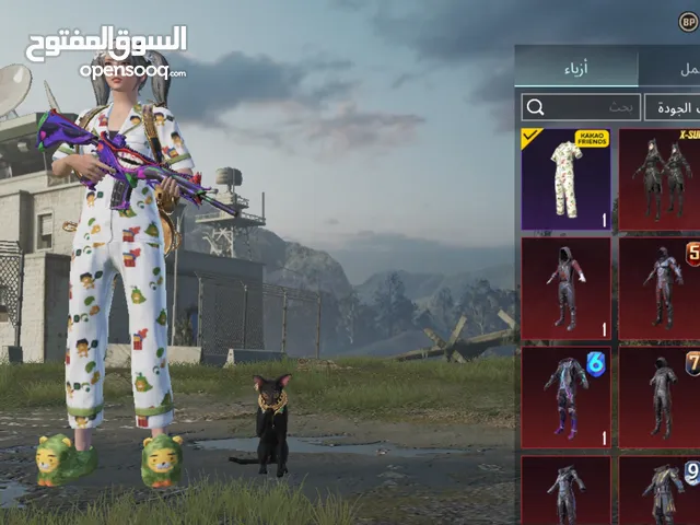 Pubg Accounts and Characters for Sale in Ma'an