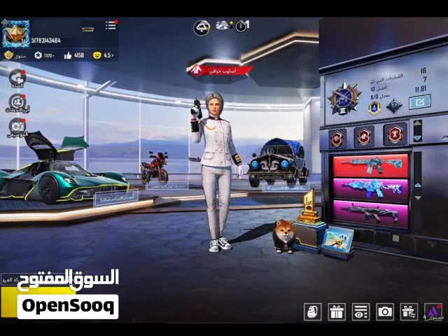 Pubg Accounts and Characters for Sale in Hurghada