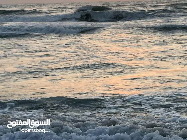 بفيو على البحر شقه مصيفيه للبيع في الصفا 80 م متشطبه سوبر لوكس استلام فوري