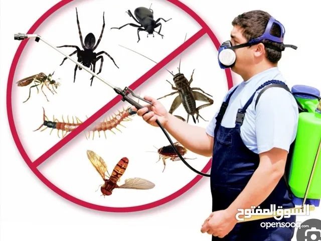 شركة زهرة الإمارات مكافحة الحشرات الصراصير والنمل الأبيض الأسود وبق الفراش الفيران والبرص الثعابين