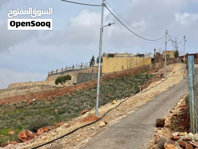 4دونم  زراعية منطقة فلال زراعيه بدر الجديدة الميده ماحص