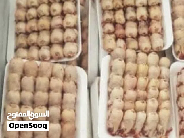 عصافير تين وصفار فرش و قمري الموسم هذا قابل للتفاوض