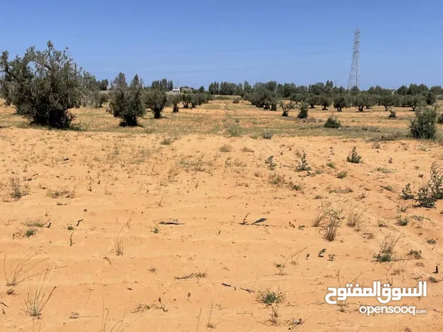 Farm Land for Sale in Tripoli Gasr Garabulli