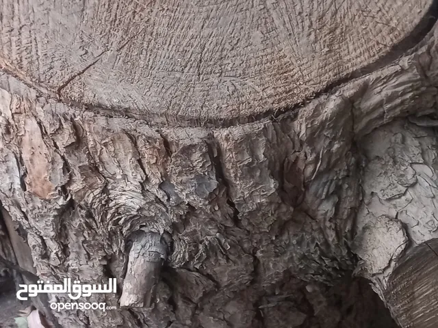 اخشاب للجزارين