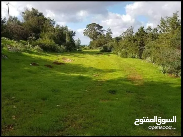Mixed Use Land for Sale in Jebel Akhdar Other