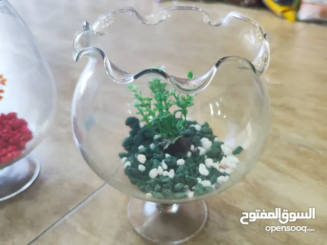 باولات سمك ، للمكاتب ، غرف النوم ، الصالون استقبال الضيوف ، رونق خاص للجمال و الاناقة