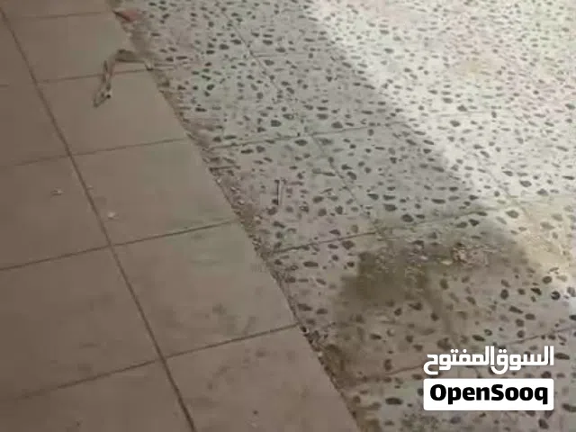 شقة للايجار الرابيه ق3