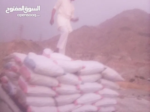 اذا بغيت عيش ناشف نظيف مكسر للحلال اتصل على الرقم الكيس بكيسين .