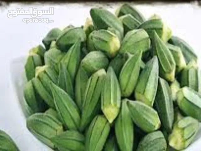 بيع باميه اهوازيه