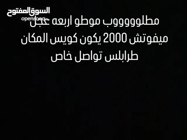 Other Other 2024 in Tripoli