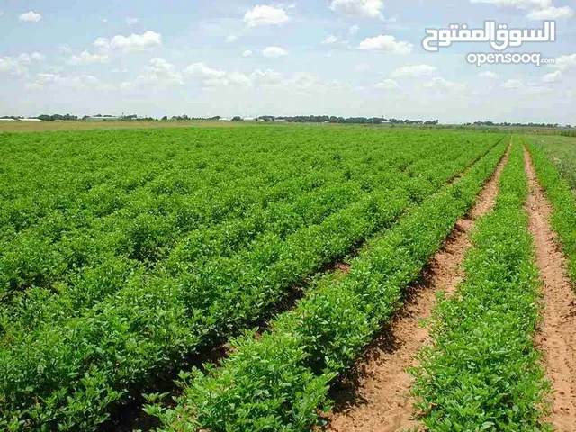 Mixed Use Land for Sale in Mafraq Hawshah