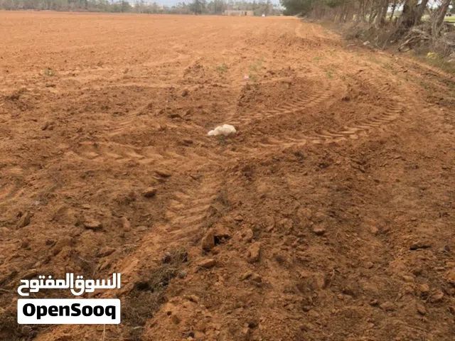 Farm Land for Sale in Misrata AlSakt