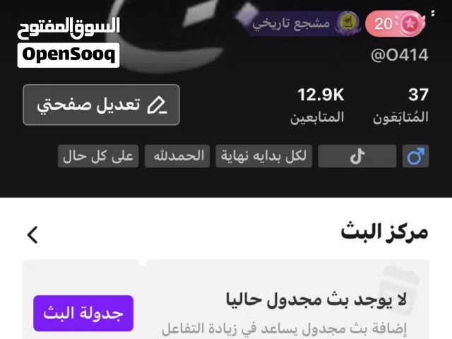 Social Media Accounts and Characters for Sale in Sharjah