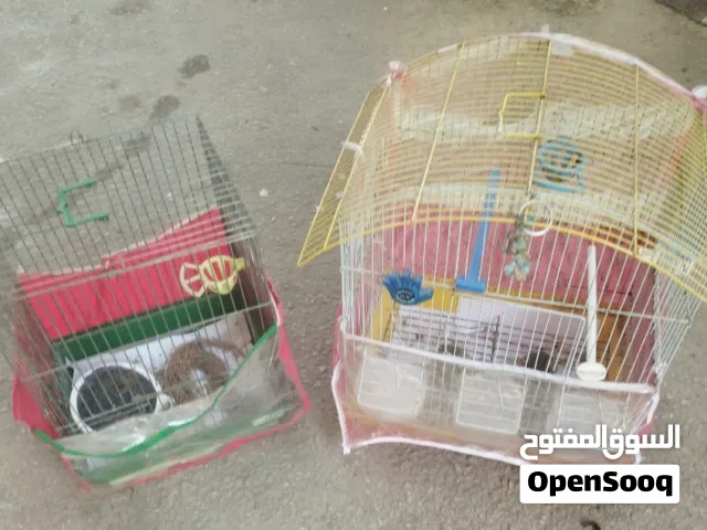 قفصين مع اغراضهم للبيع