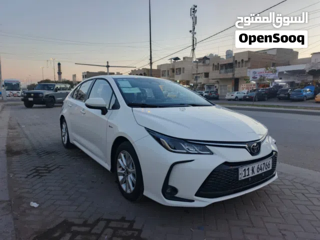 كورلا 2025 شكل الخليجي