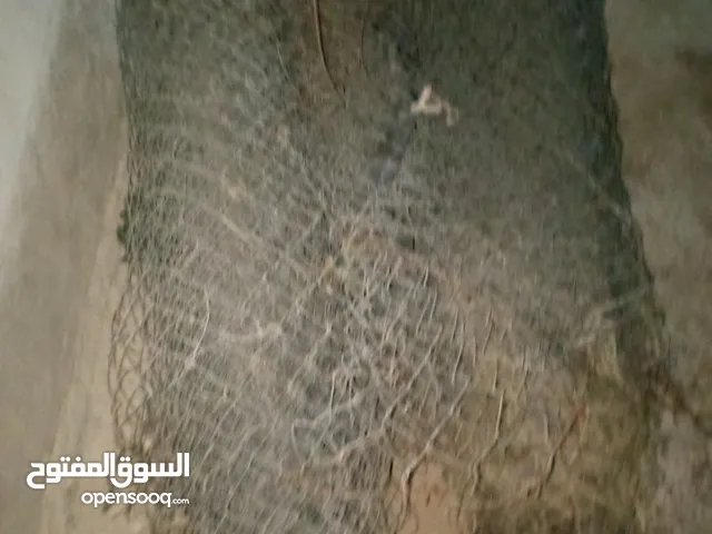 شيك لفتين للبيع