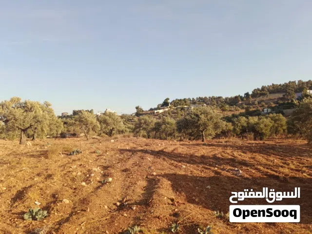 Farm Land for Sale in Jerash Soof