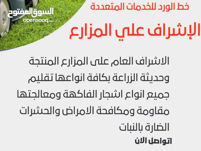 تنسيق الحدائق