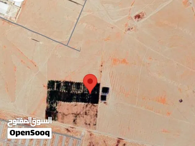 Farm Land for Sale in Amman Al-Quneitirah