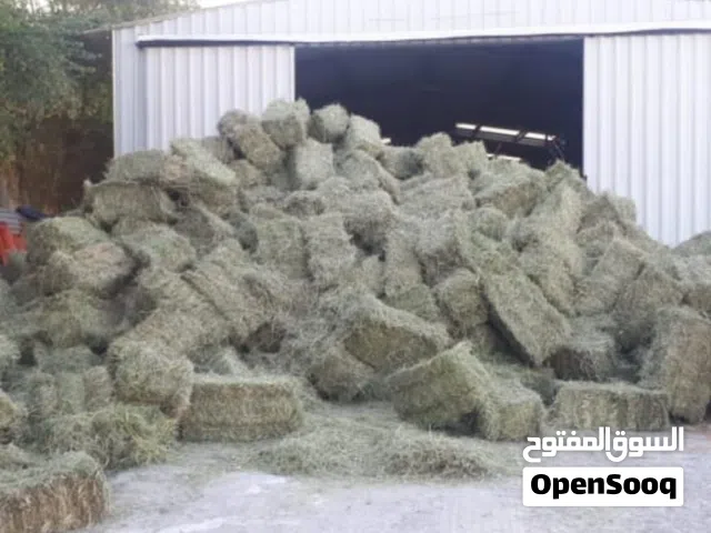 I have 10 kg grass rudais anny one need contact me