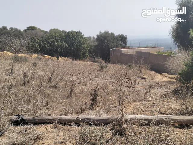 Residential Land for Sale in Tipasa Other