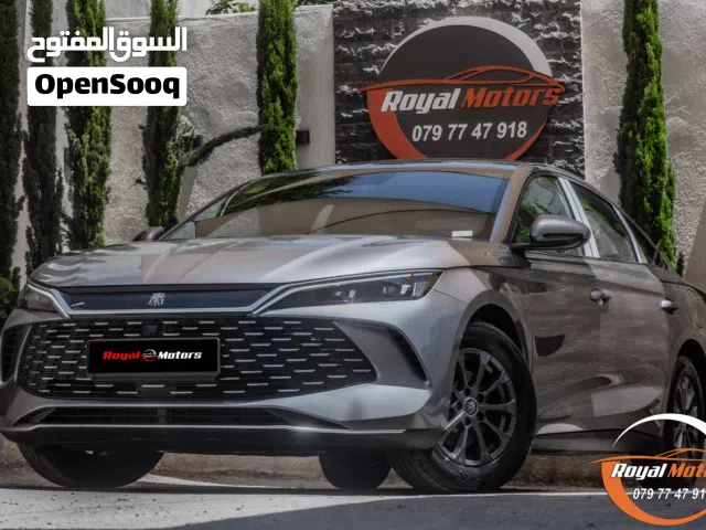 2024 بي واي دي كين