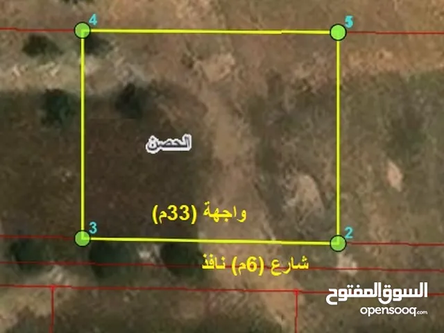 (868متر) اراضي الحصن - حوض سلمى والحولة شمال مخيم الحصن