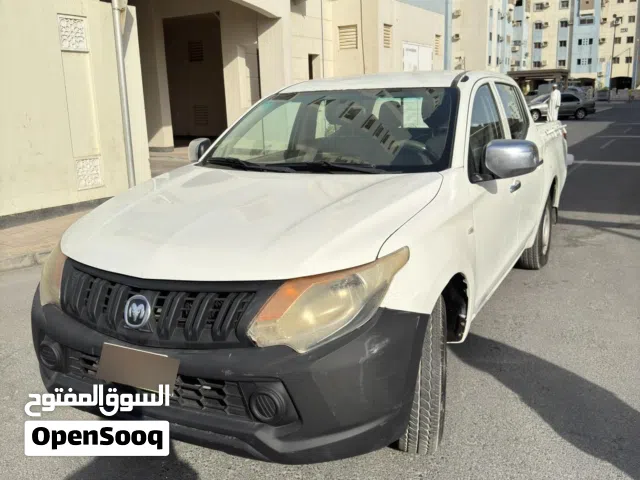 بيكاب دوج 2016