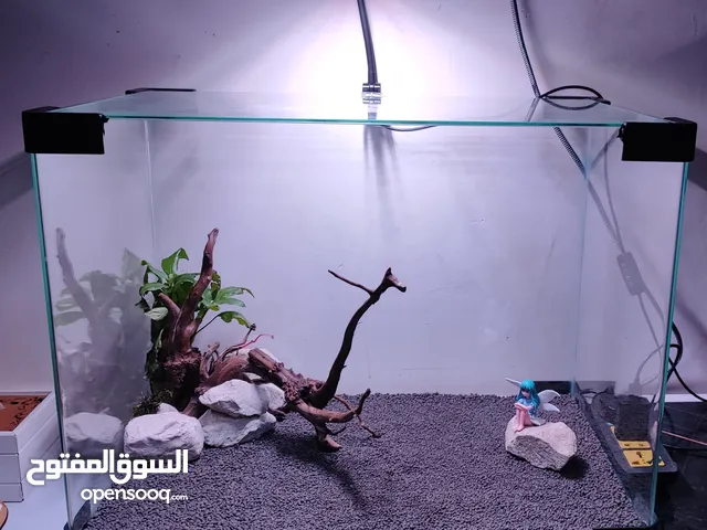 حوض كامل 55 مكمل مع جميع ملحقاتة