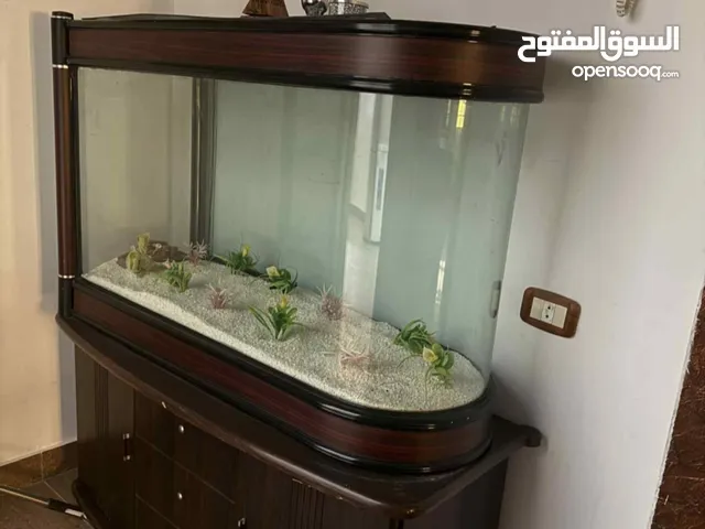 حوض اسماك نظيف