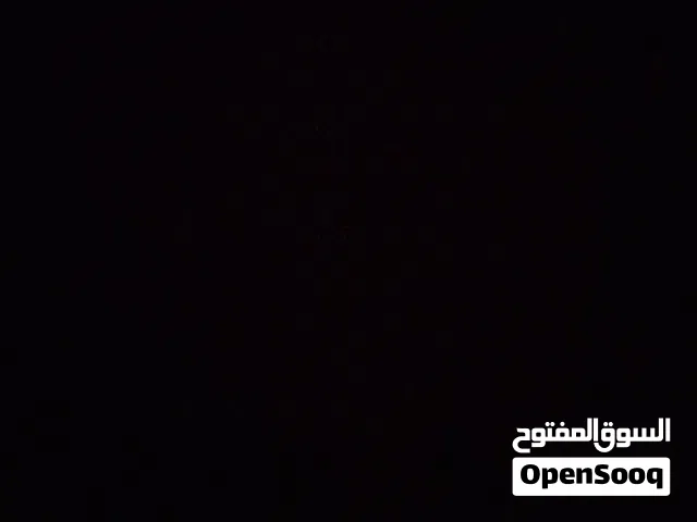 بيع مسبل حرام ومخدتين