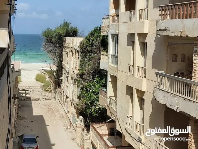115 m2 2 Bedrooms Apartments for Sale in Alexandria Agami